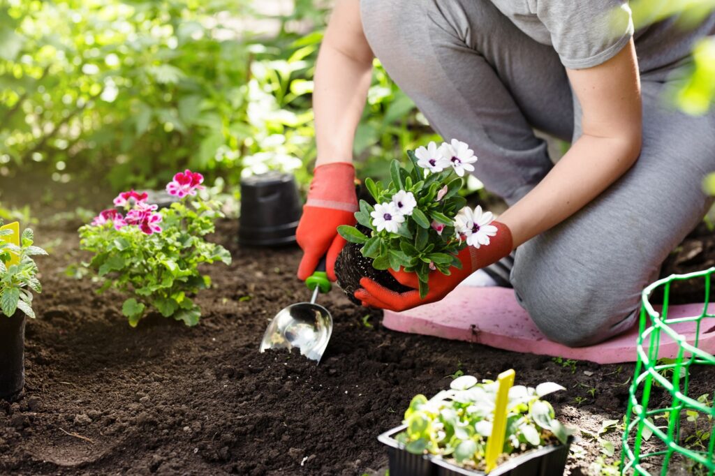 its best to avoid digging or planting in wet soil as working it damages the soil structure 1