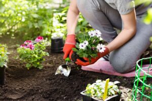 its best to avoid digging or planting in wet soil as working it damages the soil structure